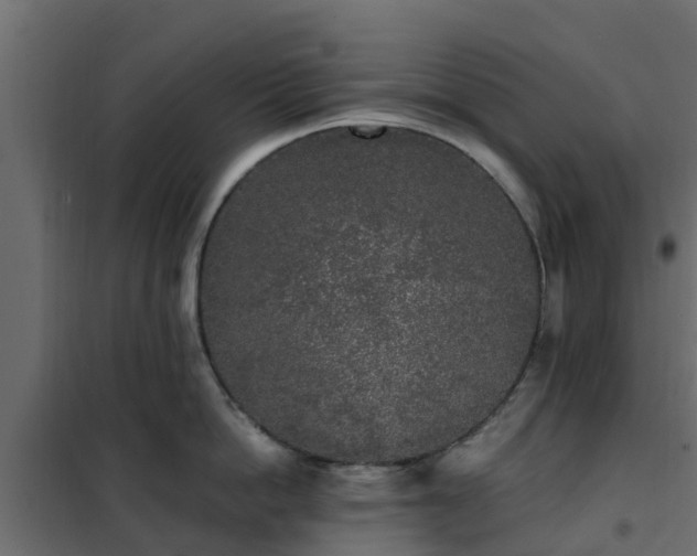 X0000102350862200808081153