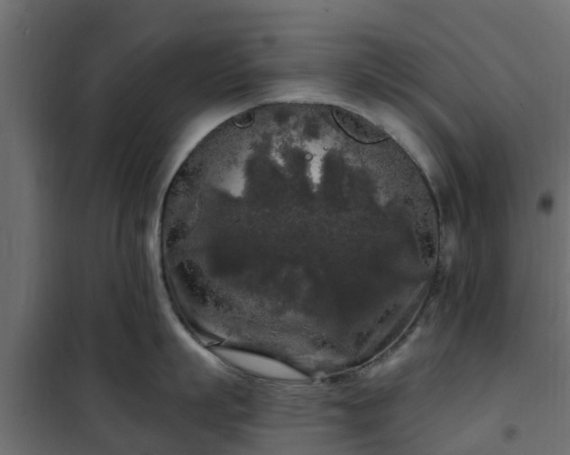 X0000102350863200808081153