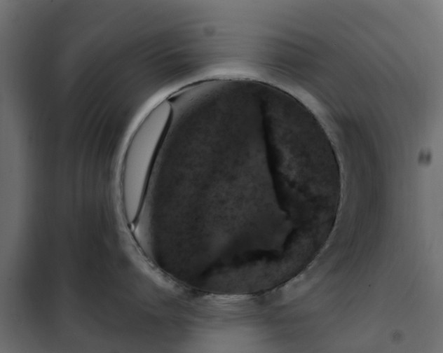 X0000102350864200808081153