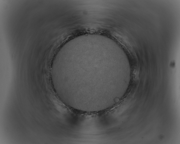 X0000102350865200808081152