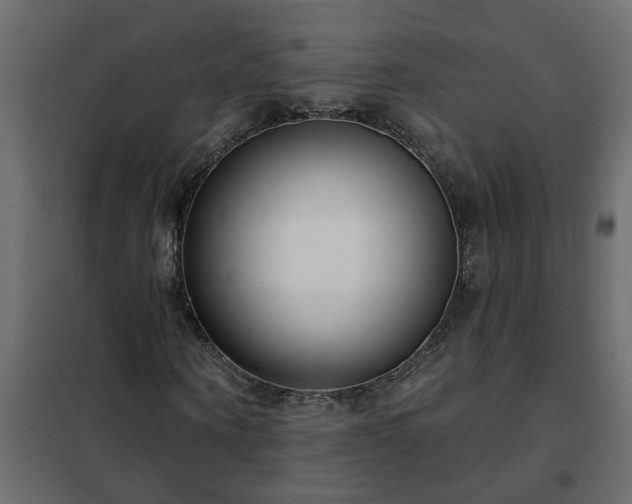 X0000102350866200808081152