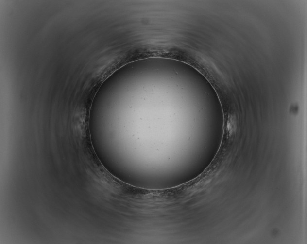 X0000102350867200808081152