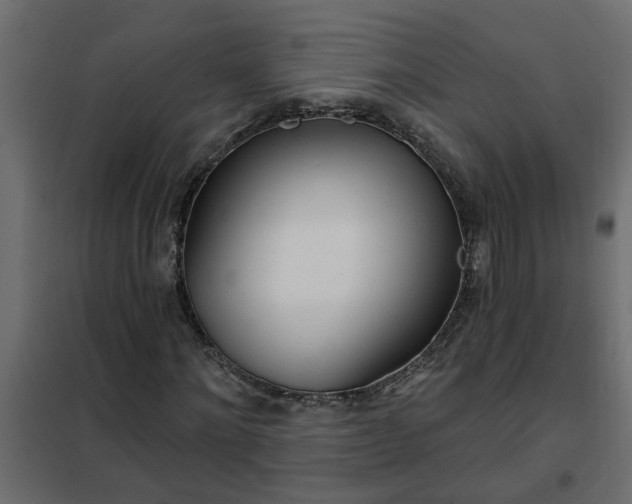 X0000102350868200808081152