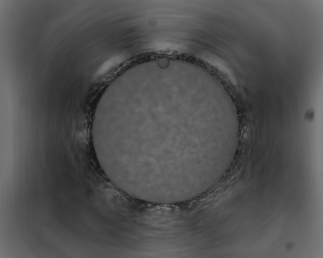 X0000102350869200808081152