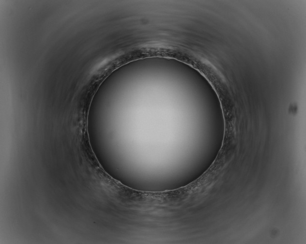 X0000102350870200808081152