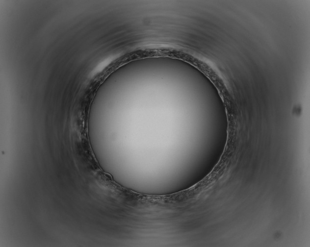 X0000102350871200808081152