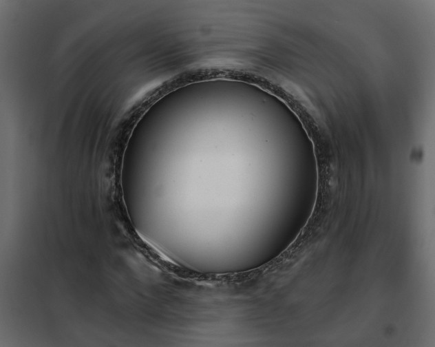 X0000102350872200808081152