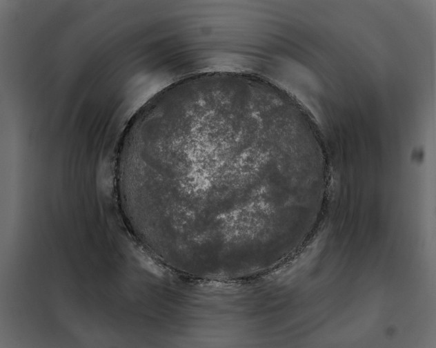 X0000102350874200808081152