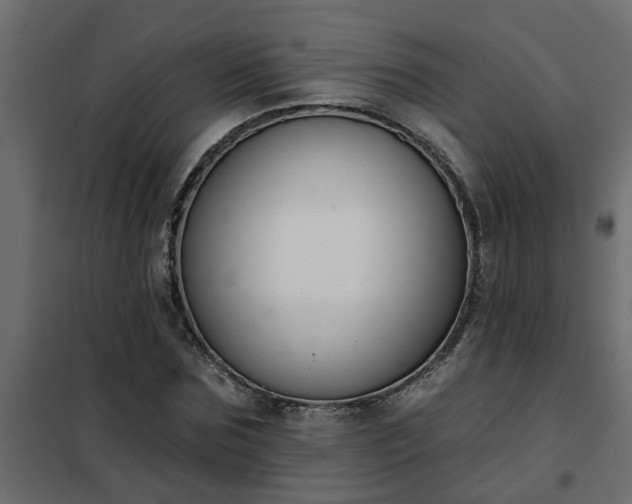 X0000102350875200808081152