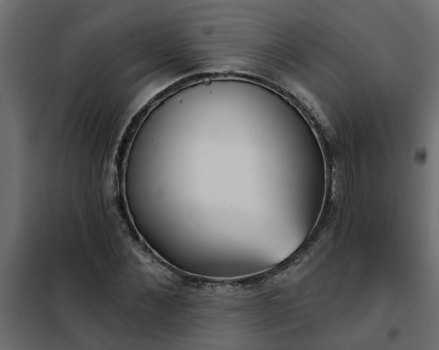 X0000102350876200808081152