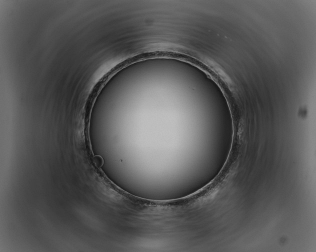 X0000102350877200808081152