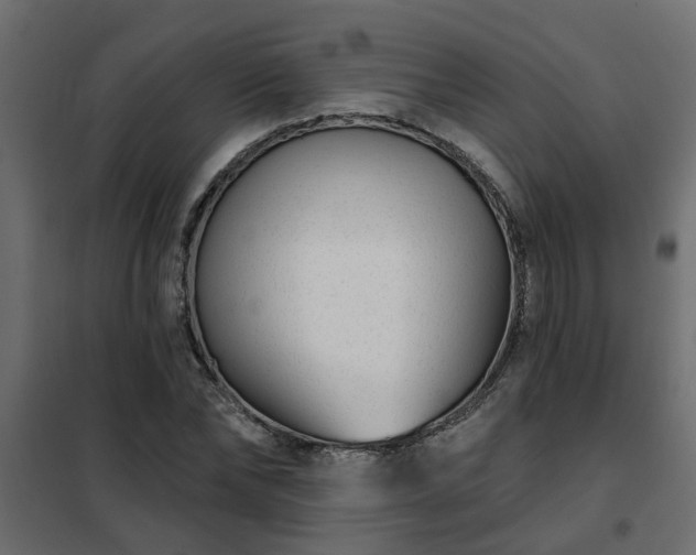 X0000102350878200808081152