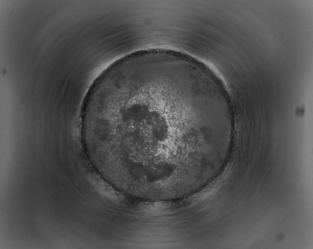 X0000102350879200808081152