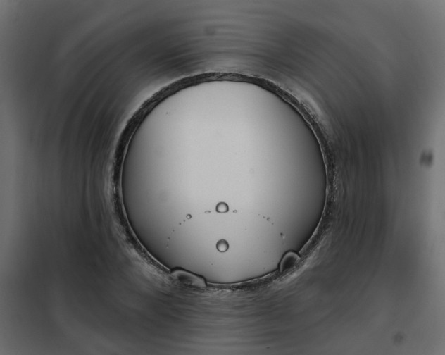 X0000102350880200808081152