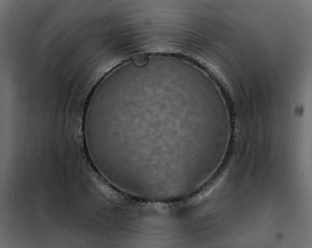 X0000102350881200808081152