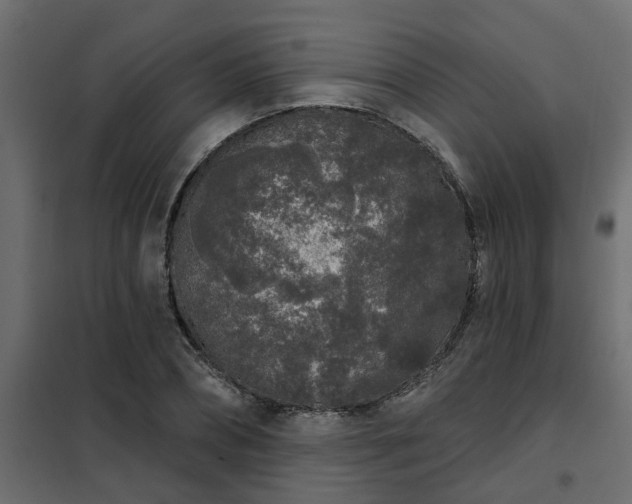 X0000102350882200808081152