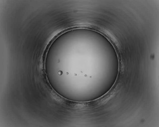 X0000102350883200808081152