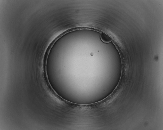 X0000102350884200808081152