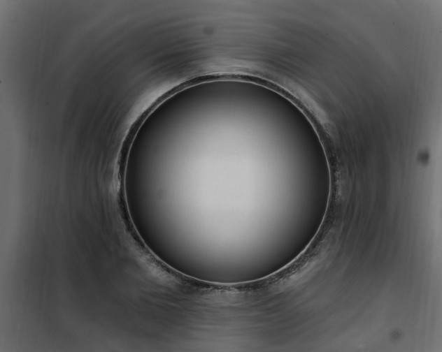 X0000102350885200808081152