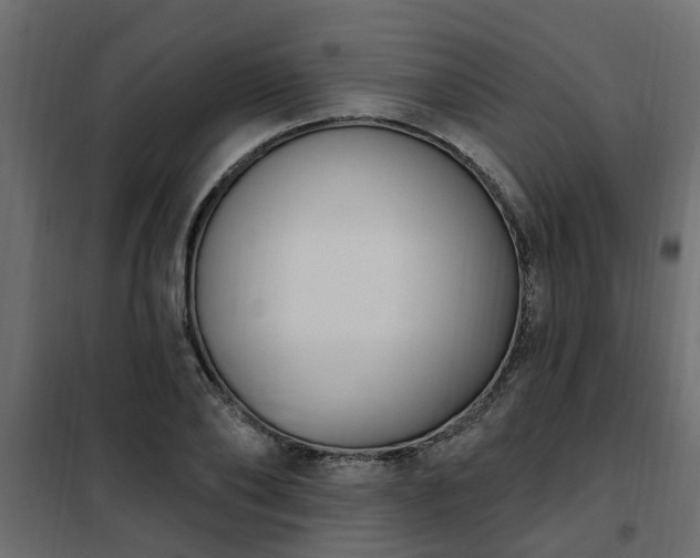 X0000102350886200808081152