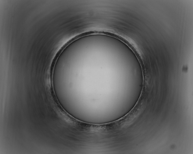 X0000102350887200808081152