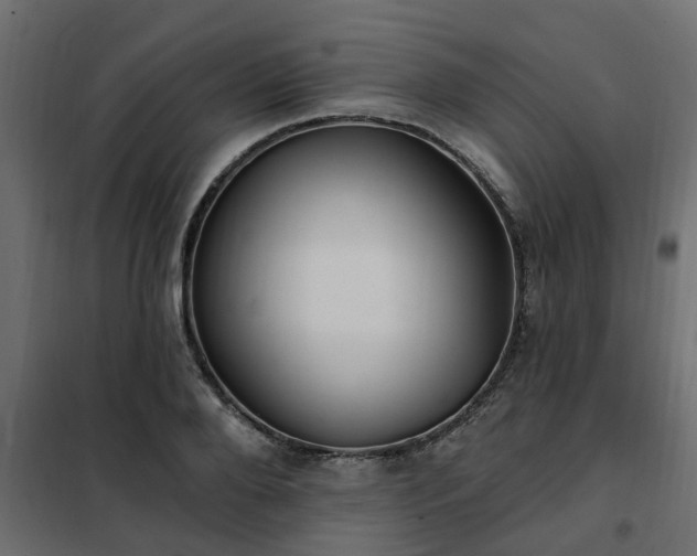 X0000102350888200808081152