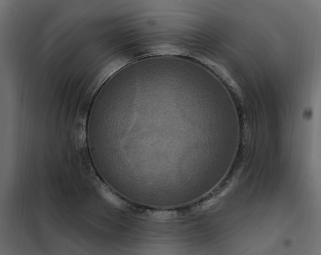 X0000102350889200808081152