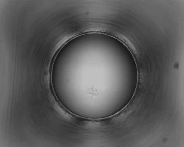 X0000102350890200808081152