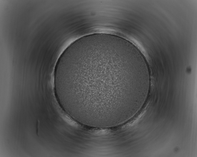 X0000102350891200808081152