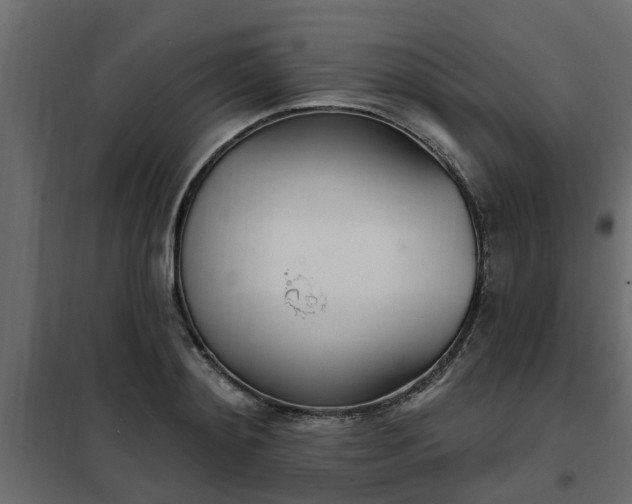 X0000102350892200808081152