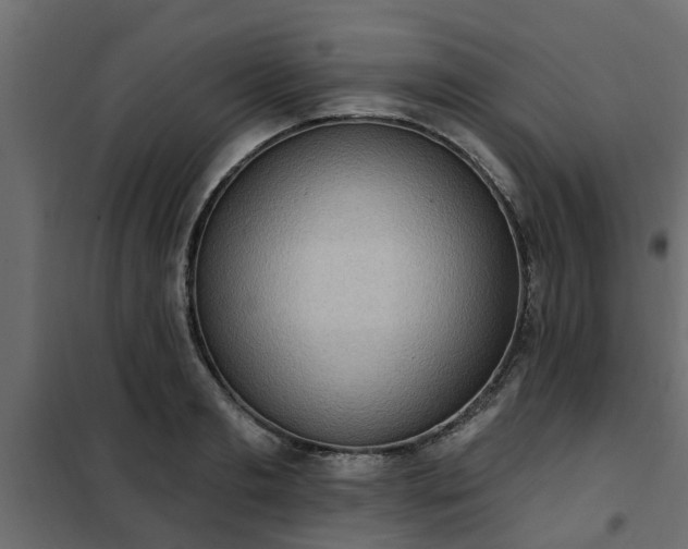 X0000102350893200808081152