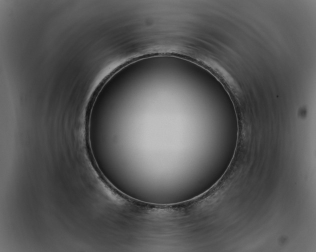 X0000102350894200808081152