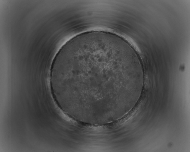 X0000102350895200808081152