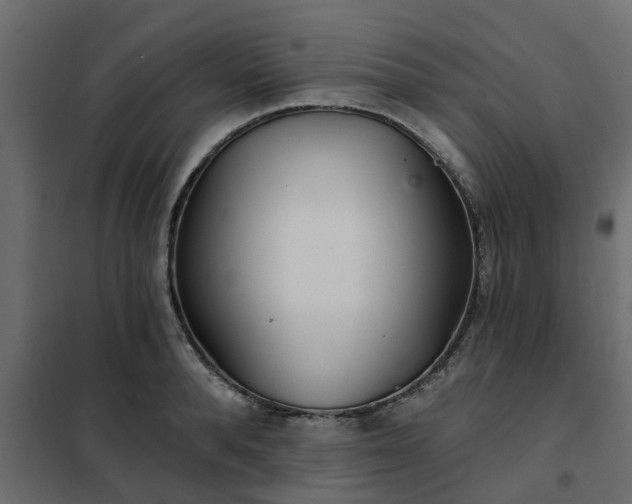 X0000102350896200808081152