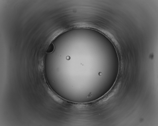 X0000102350897200808081152