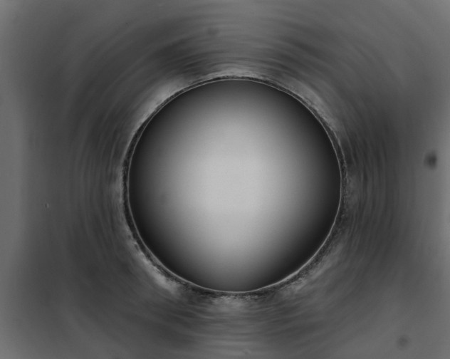 X0000102350898200808081152