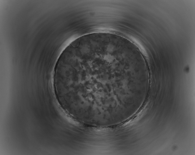 X0000102350899200808081152