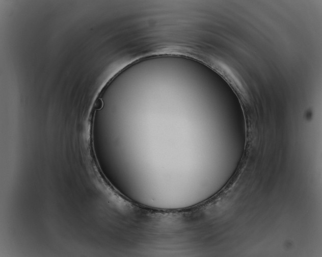 X0000102350900200808081152