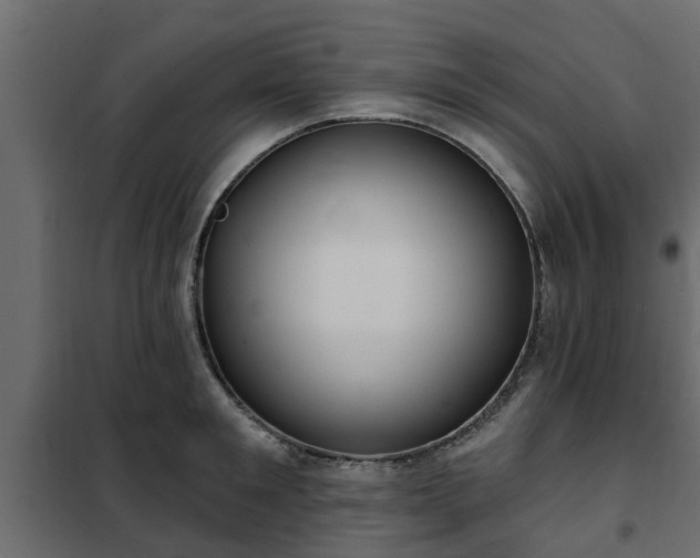 X0000102350901200808081152