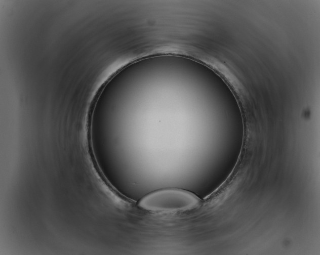 X0000102350902200808081152