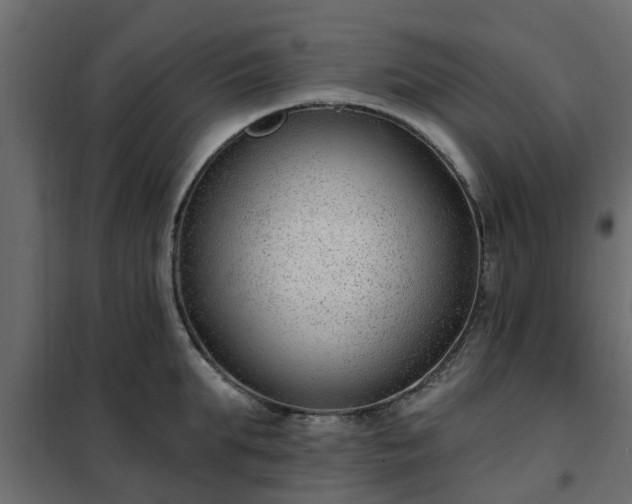 X0000102350903200808081152