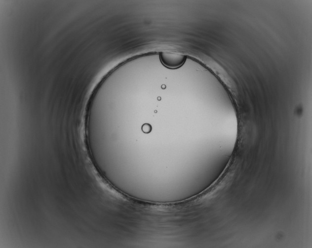 X0000102350904200808081152