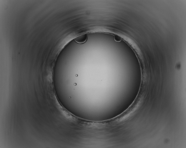 X0000102350905200808081152