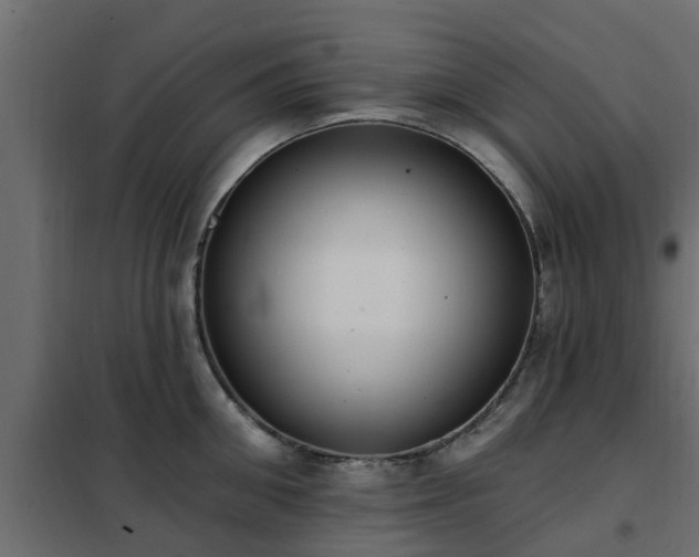 X0000102350906200808081152