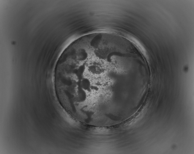 X0000102350907200808081152