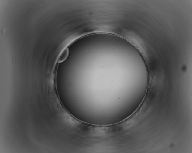 X0000102350908200808081151