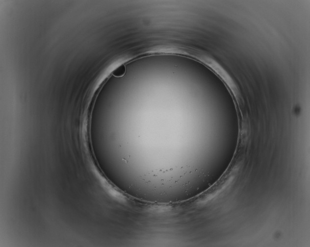 X0000102350909200808081151