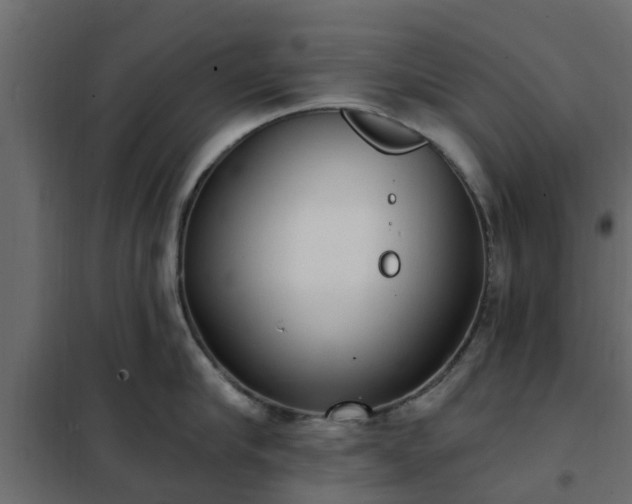 X0000102350910200808081151