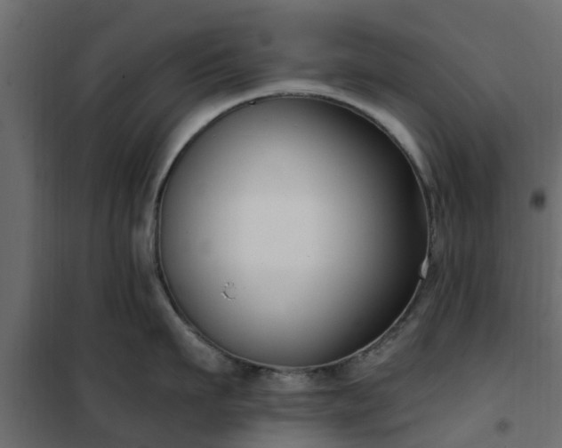 X0000102350911200808081151