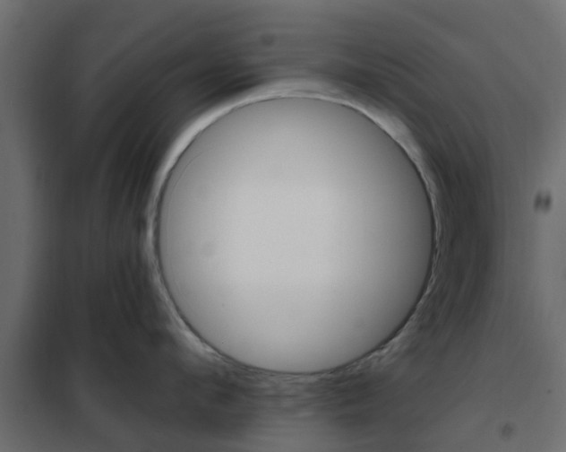 X0000102350912200808081151